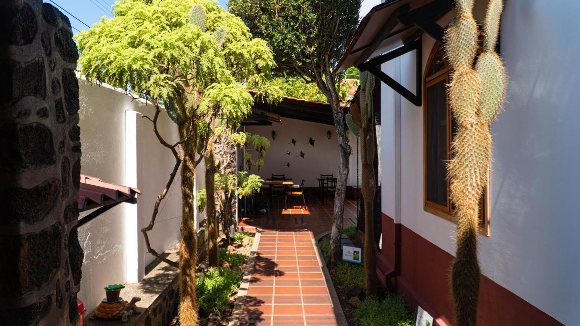 Hotel Galapagos Suites B&B Puerto Ayora Kültér fotó
